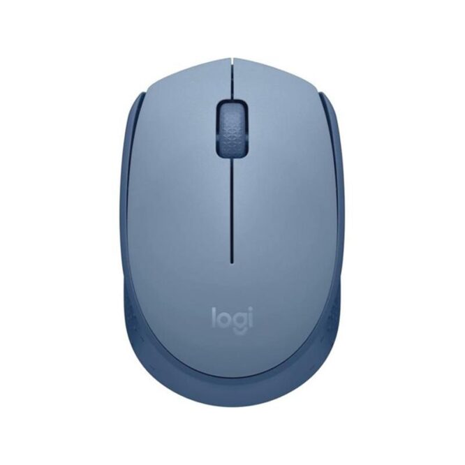 Logitech M171, hall/sinine - Juhtmevaba optiline hiir